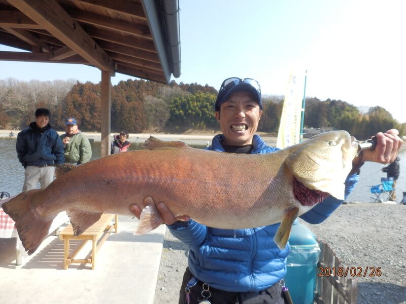 宇都宮近郊のルアー フライ管理釣り場 増井養魚場