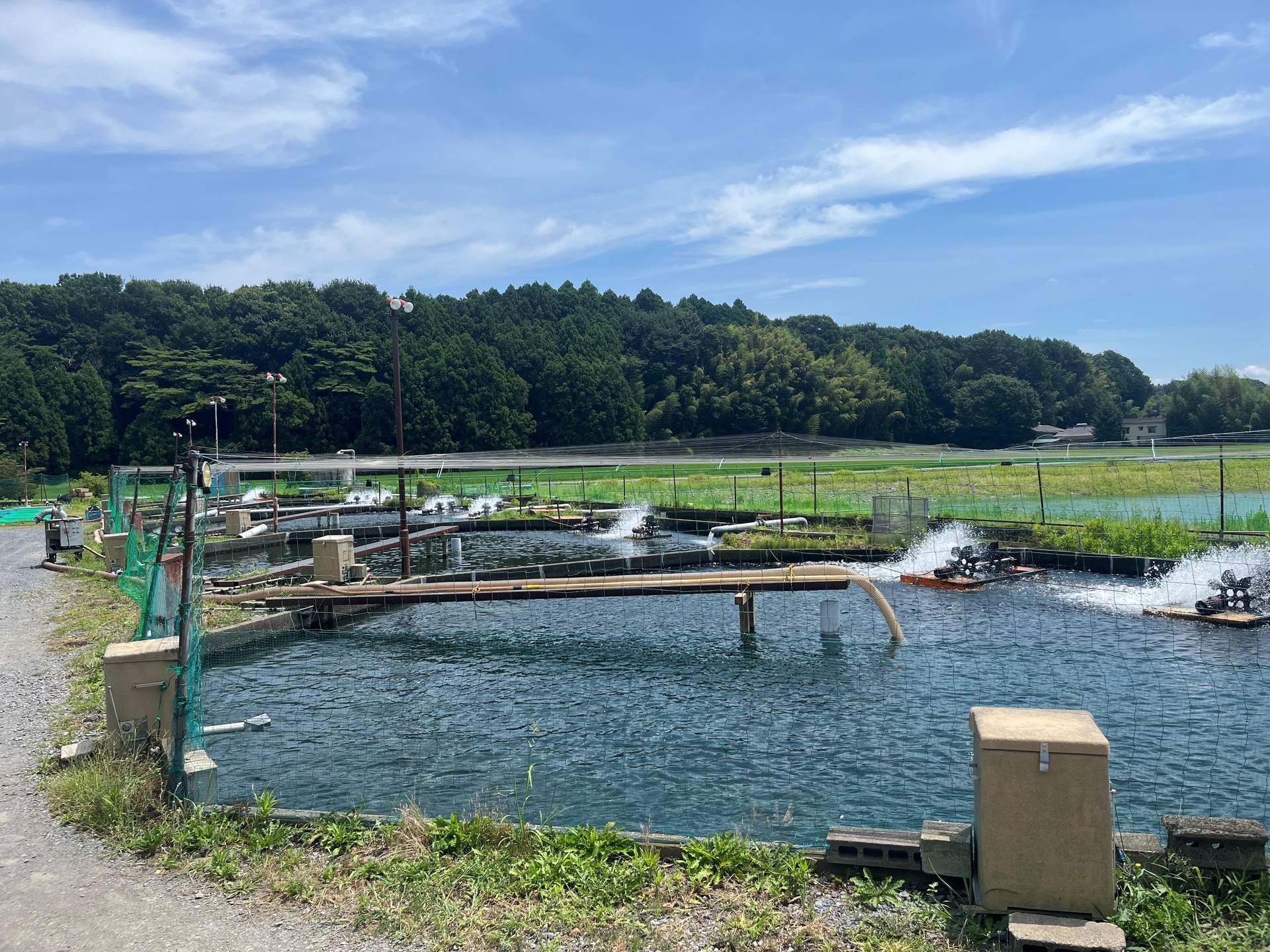 養殖池